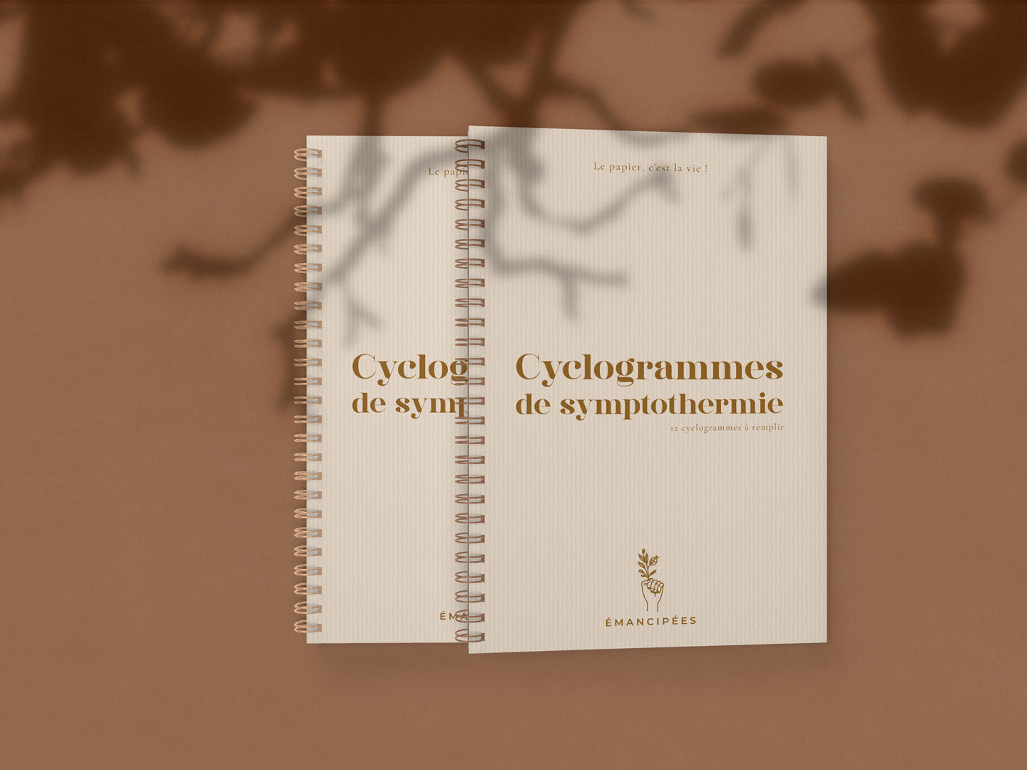 Carnet de Cyclogrammes – Symptothermie