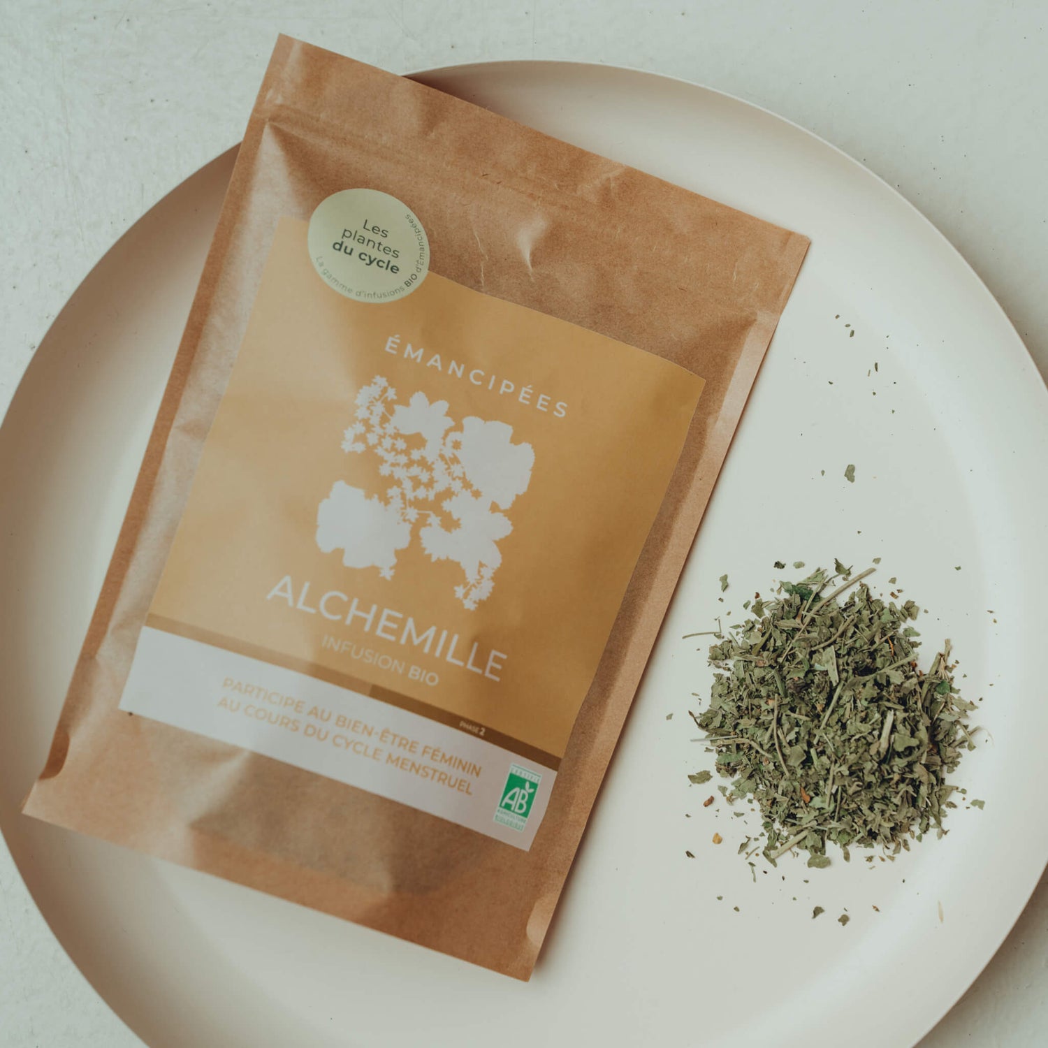 Alchemille